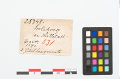 Etikett zu Bronzebrillenfibel (NHMW-PRAE-025348)